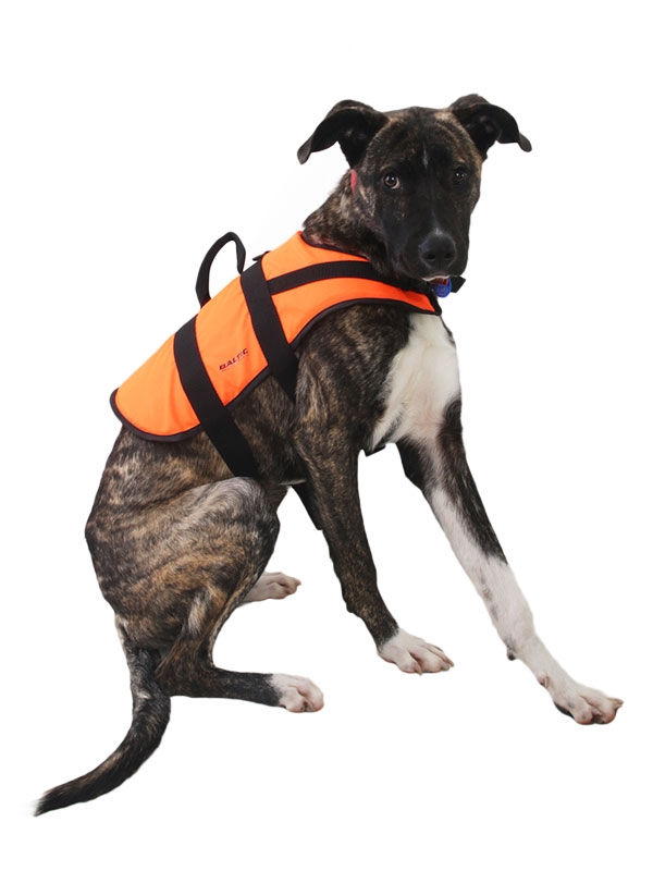 Baltic Pet/Dog Life Jacket
