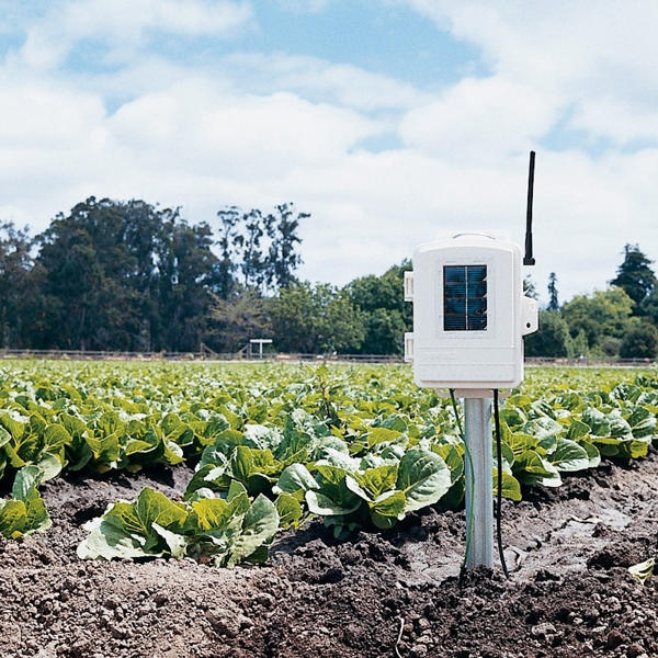 Davis Wireless Leaf & Soil Moisture/Temperature Station
