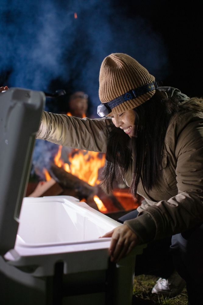 Companion Single Zone Lithium Fridge/Freezer 60L