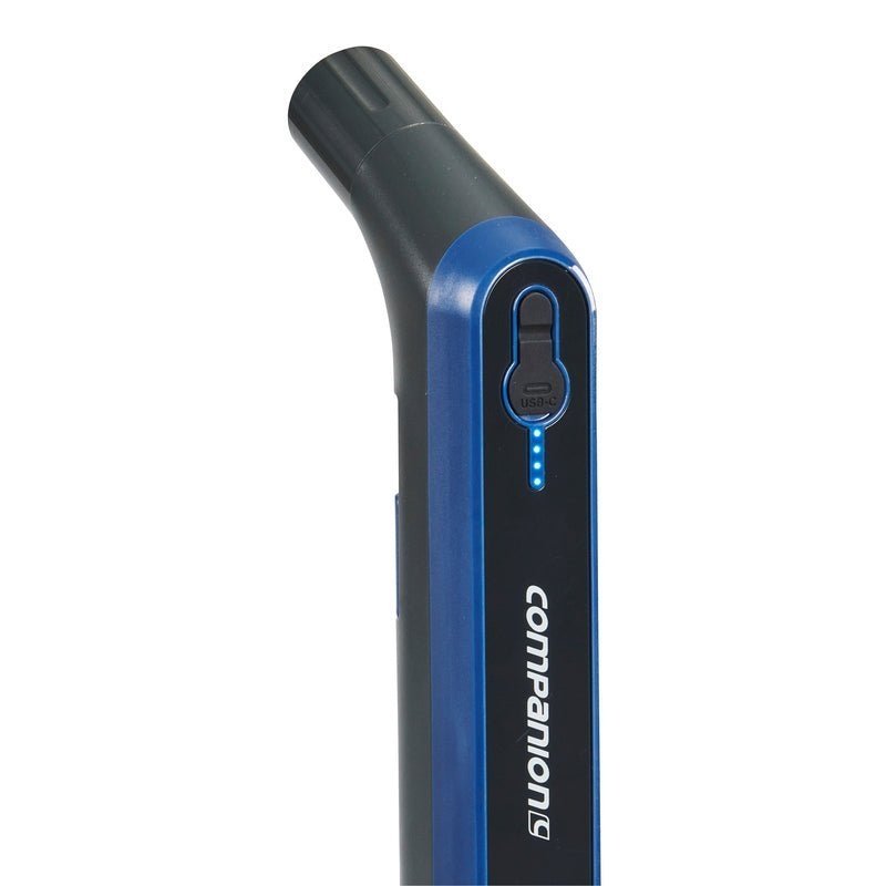 Companion Portable Roam Rinser