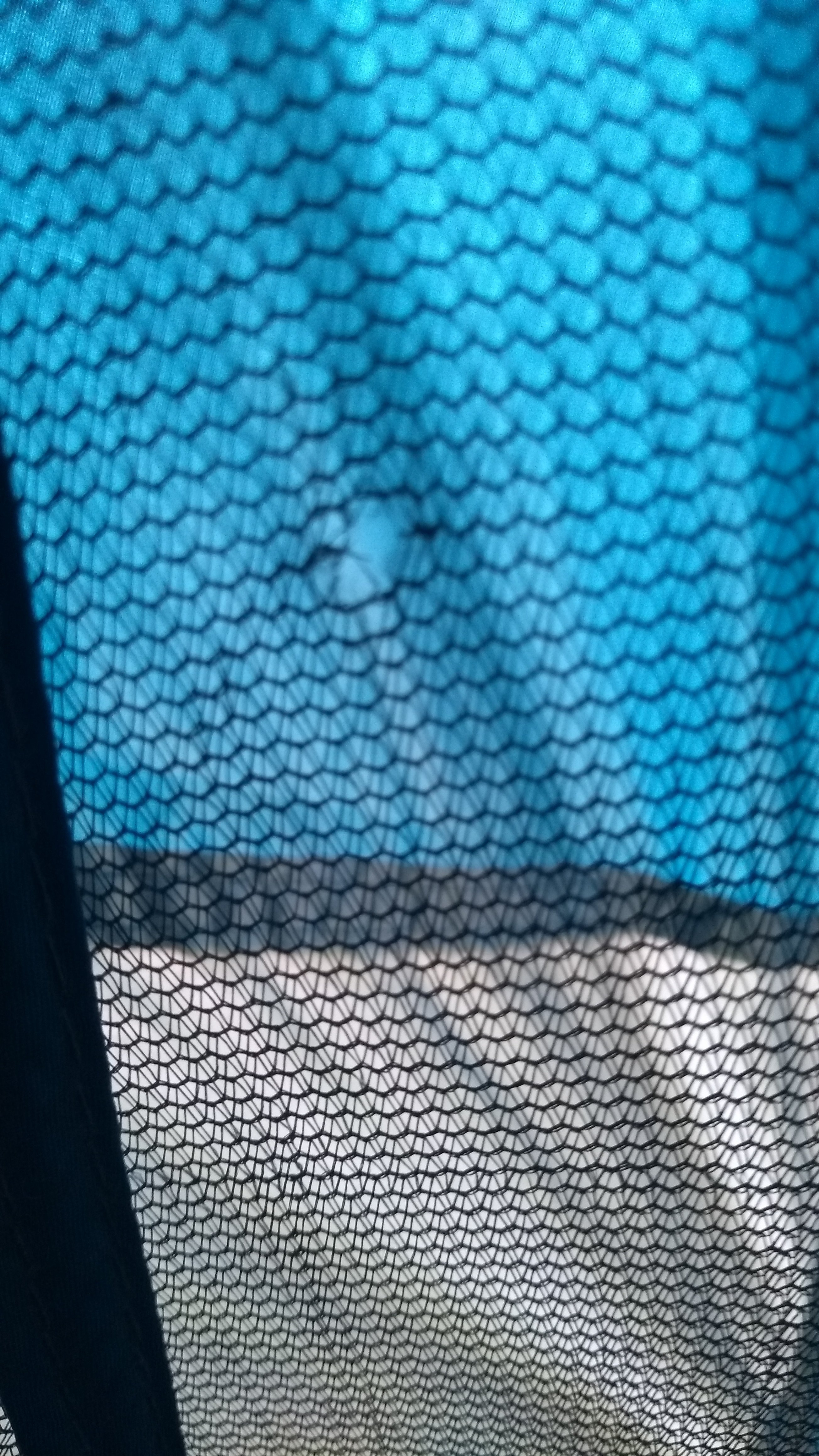 OZtrail Bungalow 9 Person Dome Tent - Used Tent