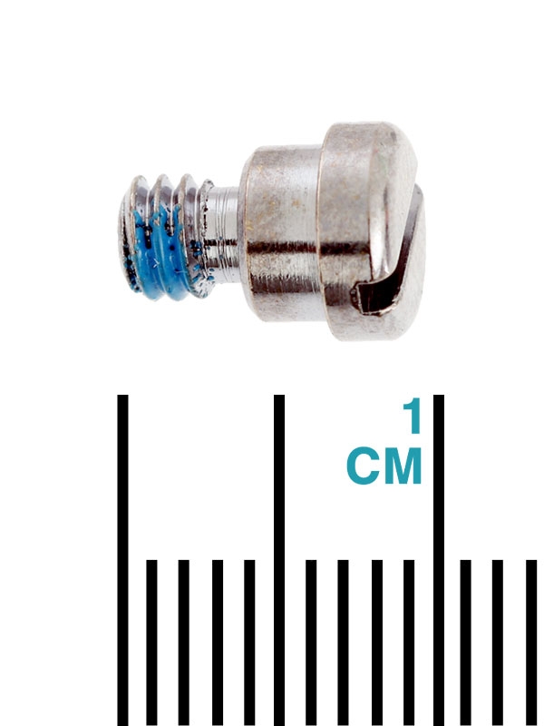 PENN Slammer and Spinfisher 1182689 Replacement Bail Cam Screw