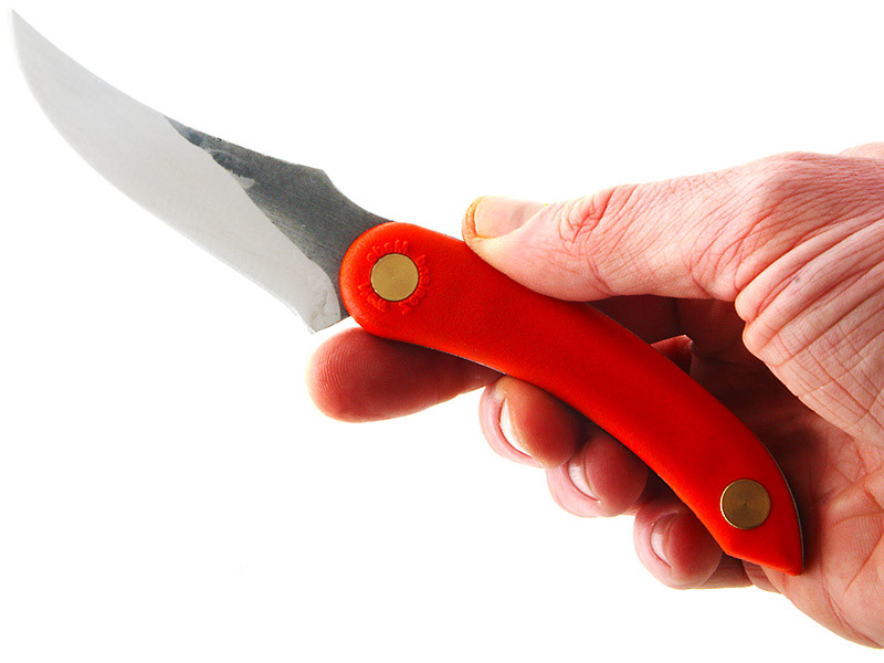 Svord Amerikiwi High Carbon Steel Knife Orange 9cm