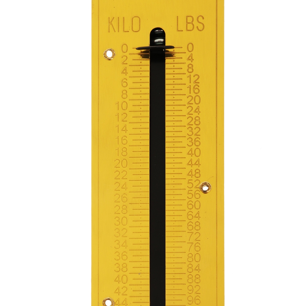 Fishtech Brass Spring Weighing Scale 50kg