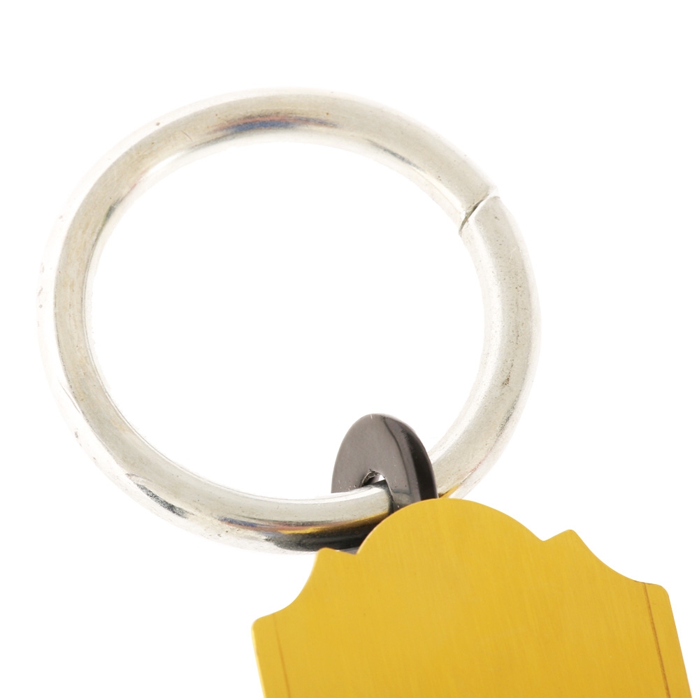 Fishtech Brass Spring Weighing Scale 50kg