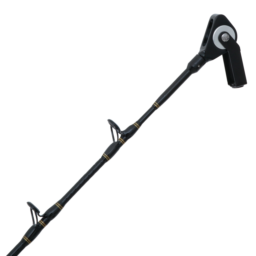 PENN International 50 VISX Ocean Assassin 2-Speed Deep Bent Butt Game Combo 5ft 4in 37kg 2pc