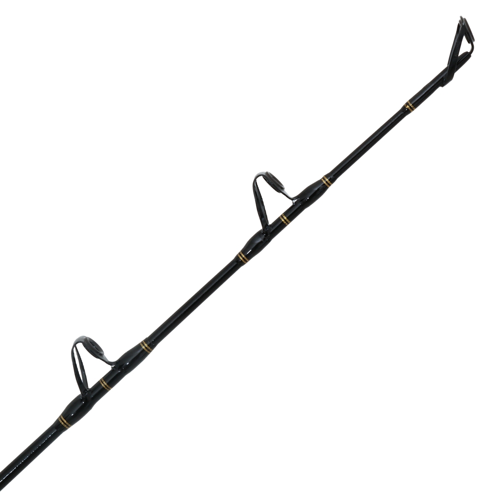 PENN Fathom II 30 Ocean Assassin Level Wind Game Combo 6ft 15kg 1pc