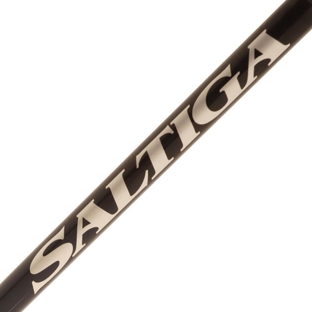 Daiwa Certate SW 10000-P Saltiga Jigging Combo with Braid 5ft 9in PE3-5 300g 1pc