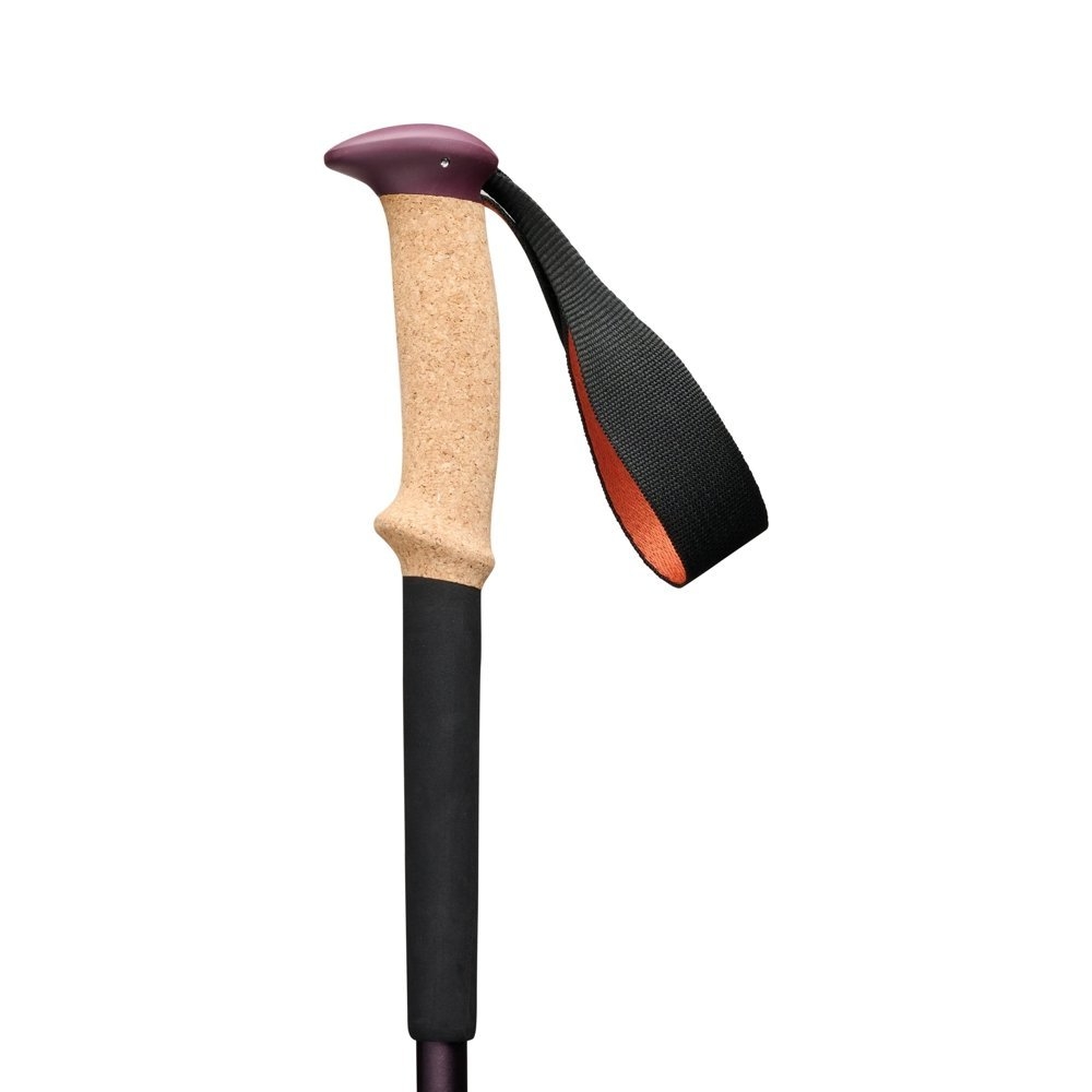 Black Diamond Trail Cork Trekking Poles Fig