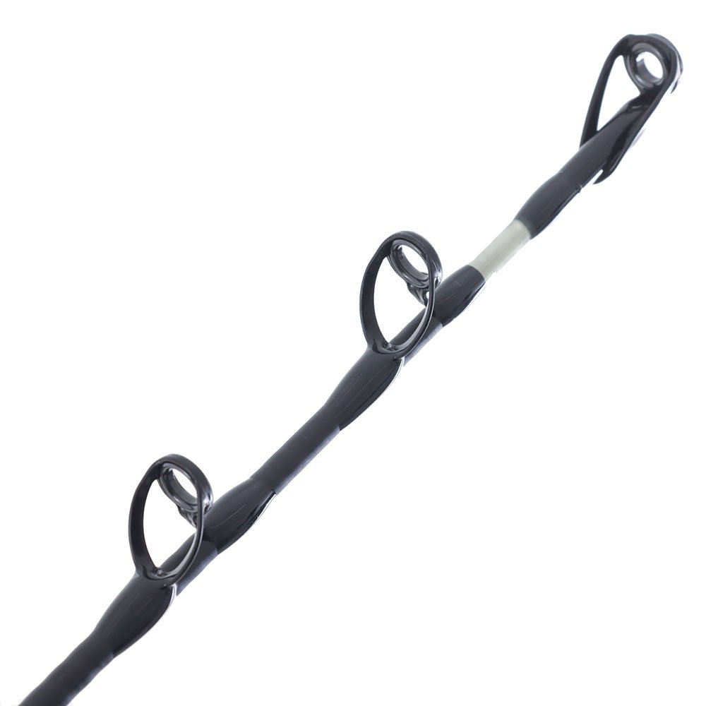 Daiwa Seaborg 800MJ Procyon Dendoh Saltist Bent Butt Electric Game Combo 5ft 6in PE6-10 2pc