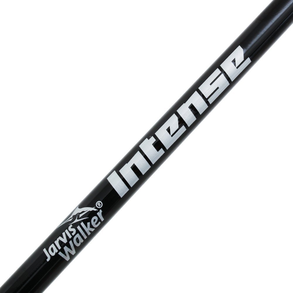 Shimano Alivio 10000 FA Intense Rock Combo 10ft 12kg 3pc