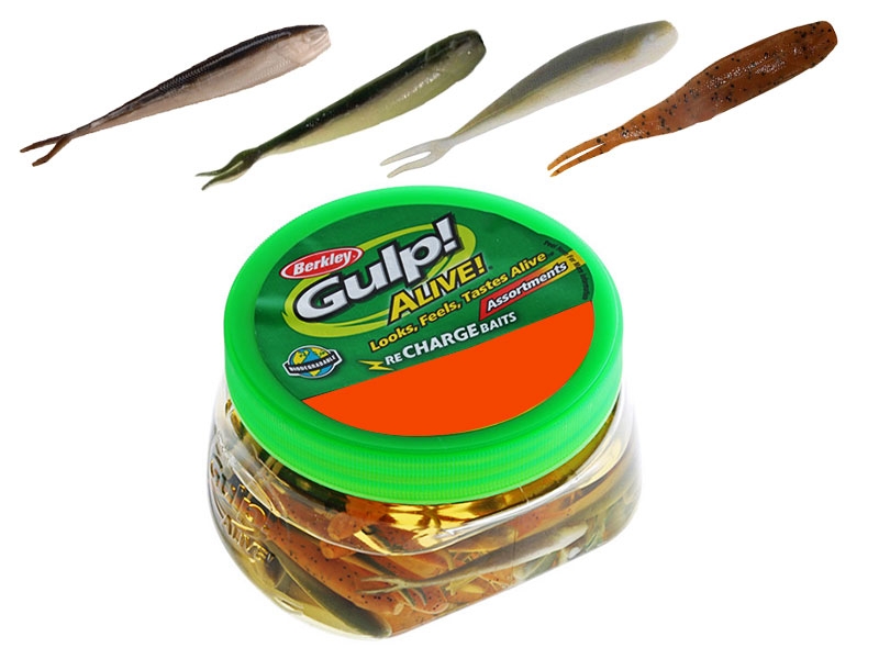 Berkley Gulp Alive Assorted Minnows Soft Bait Tub 10cm