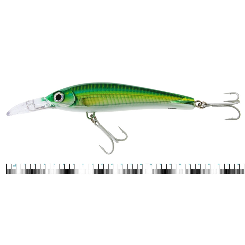Rapala X-Rap Magnum Xtreme Trolling Lure 160mm 68g