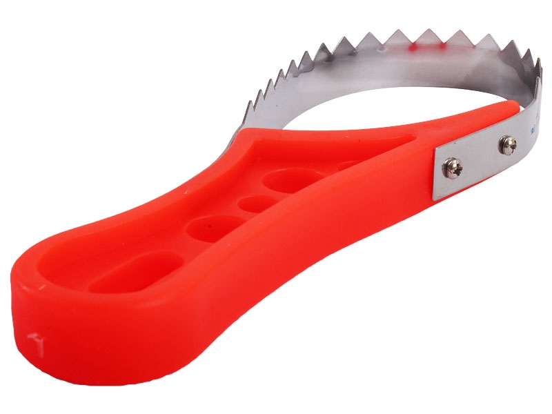 Berkley Stainless Fish Scaler