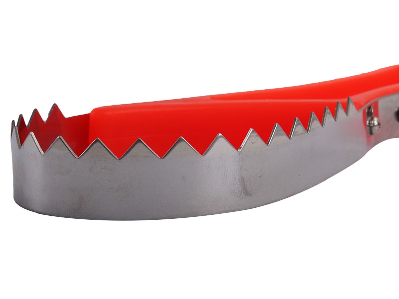 Berkley Stainless Fish Scaler