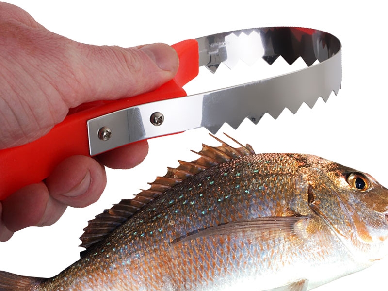 Berkley Stainless Fish Scaler