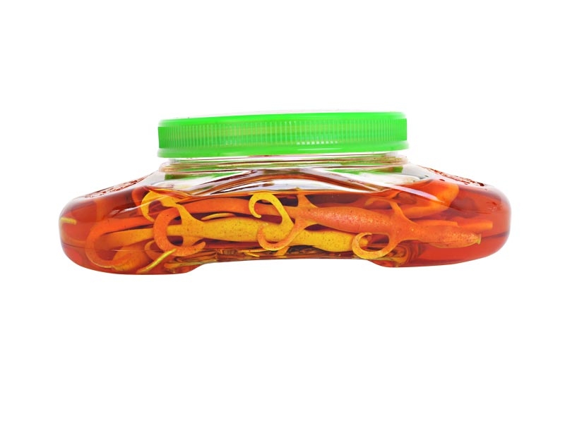 Berkley Gulp Alive Lizard Soft Bait Tub 16cm Curried Chicken