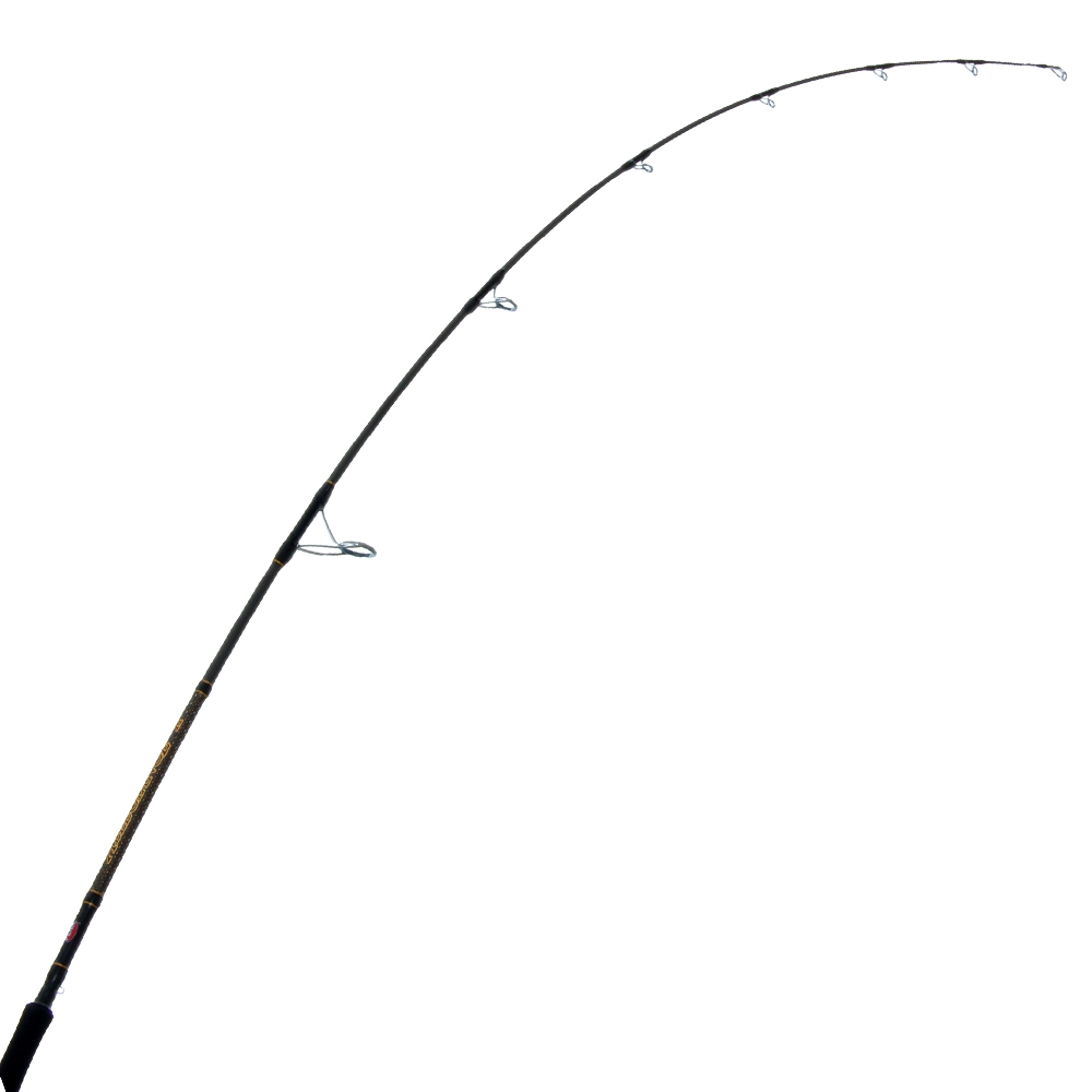PENN Allegiance II Spinning Strayline Rod 6ft 2in 10-15kg 1pc