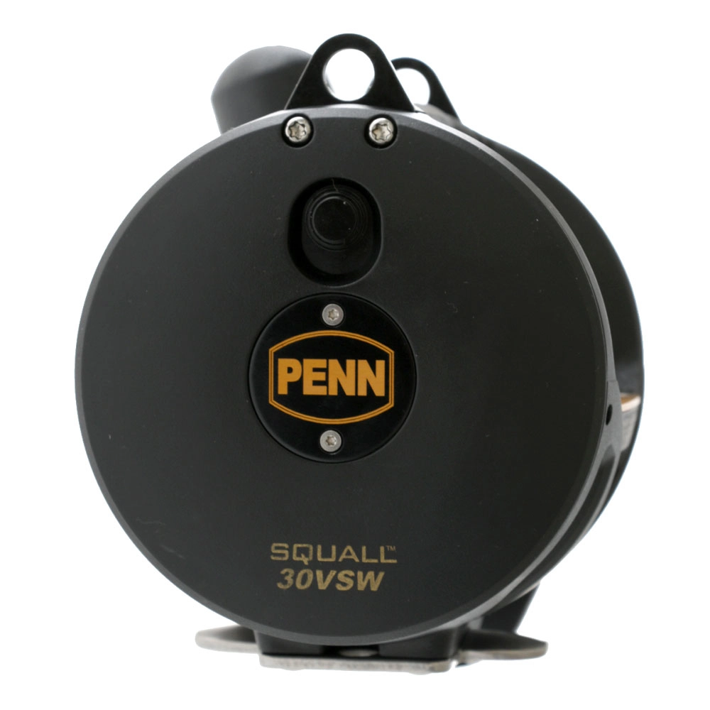 PENN Squall 30 VSW Ocean Assassin Runner 2-Speed Game Combo 5ft 4in 24kg 1pc PENN Squall 30 VSW Ocean Assassin Runner 2-Speed Game Combo 5ft 4in 24kg 1pc