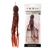 Daiwa Kohga Mega 6 Octopus Skirt Cola and Cola