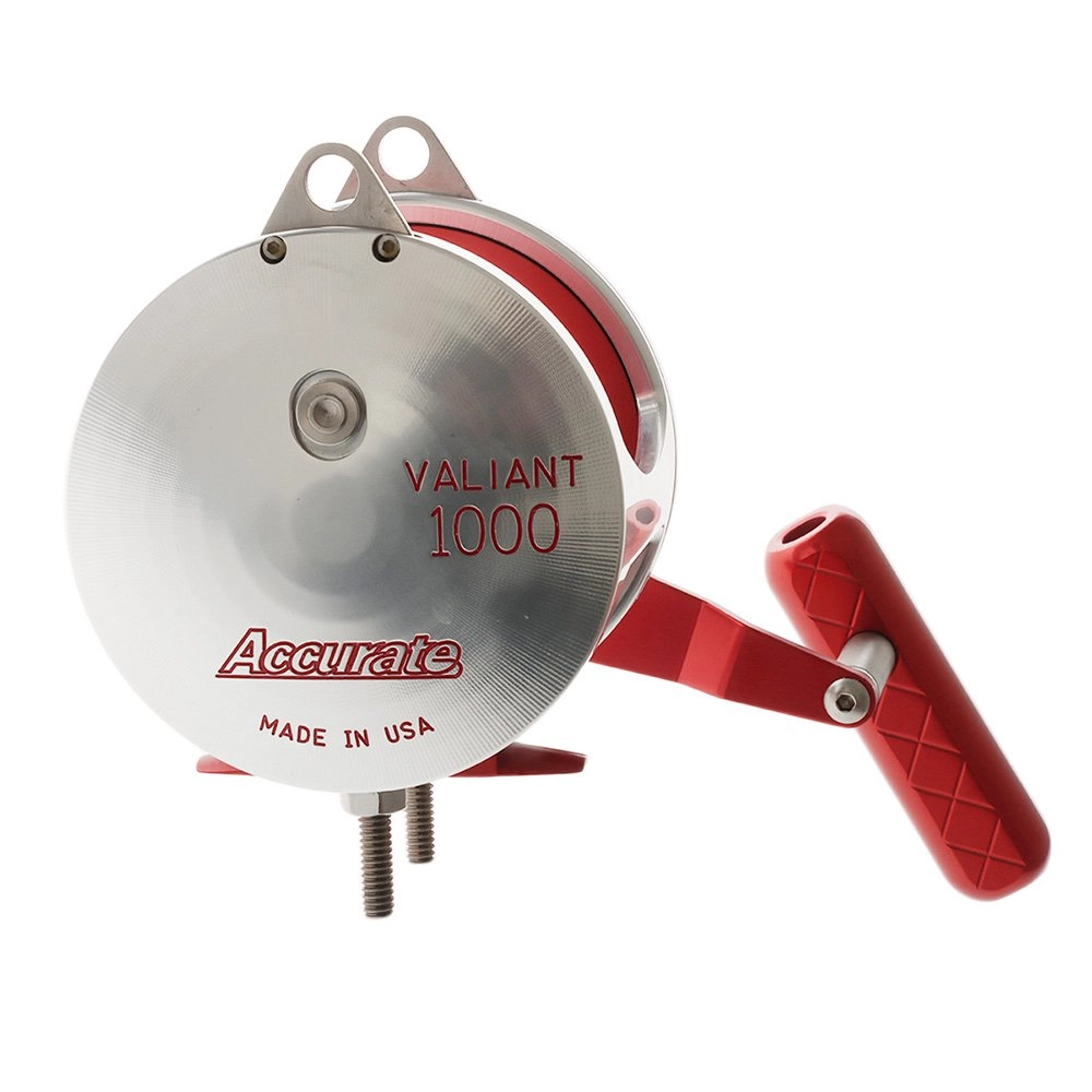 accurate fishing reels australia Tern2 Reel engineered to deliver consistent results without unnecessary complexity Buy Accurate Valiant 1000 2-Speed