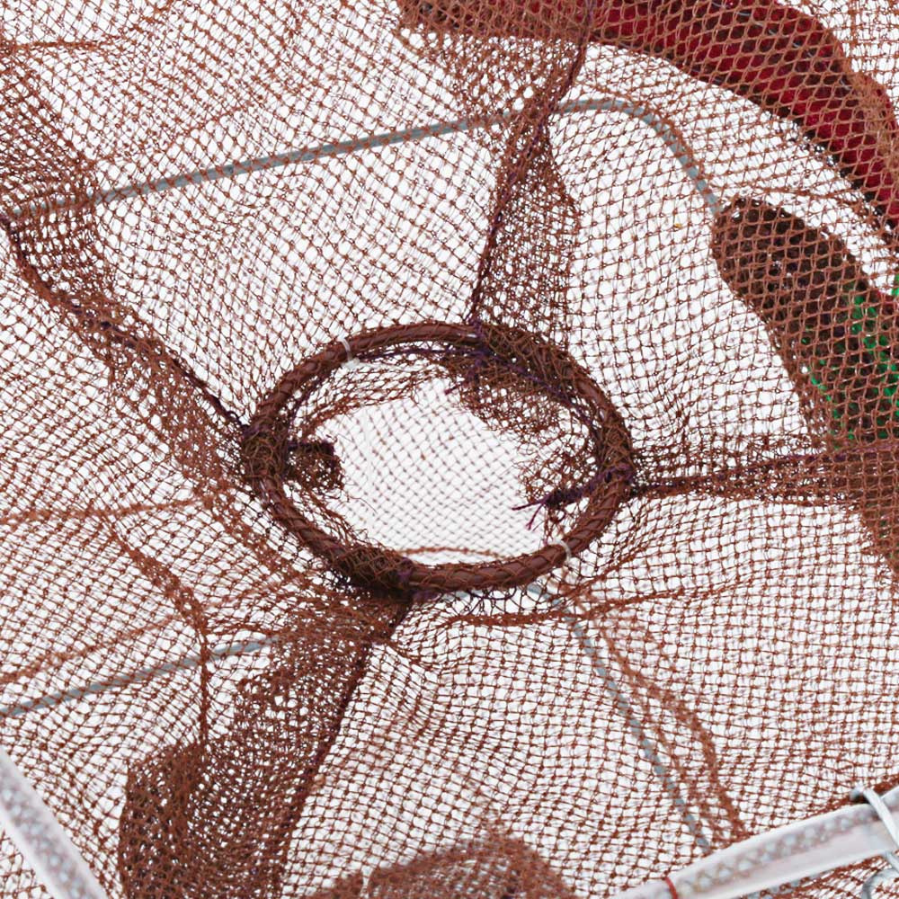 Sea Harvester Collapsible Bait Cage