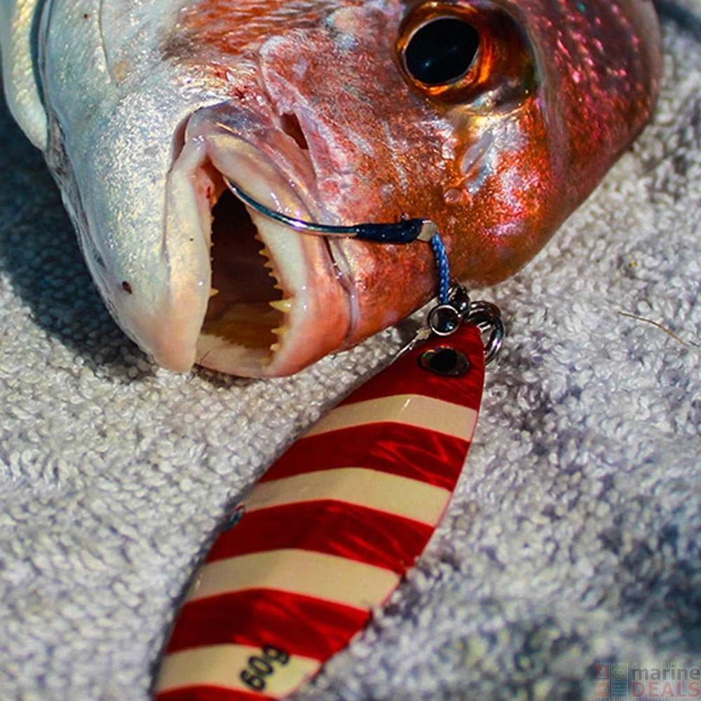 Daiwa Saltiga Slow Knuckle Jig 100g Pink/Blue