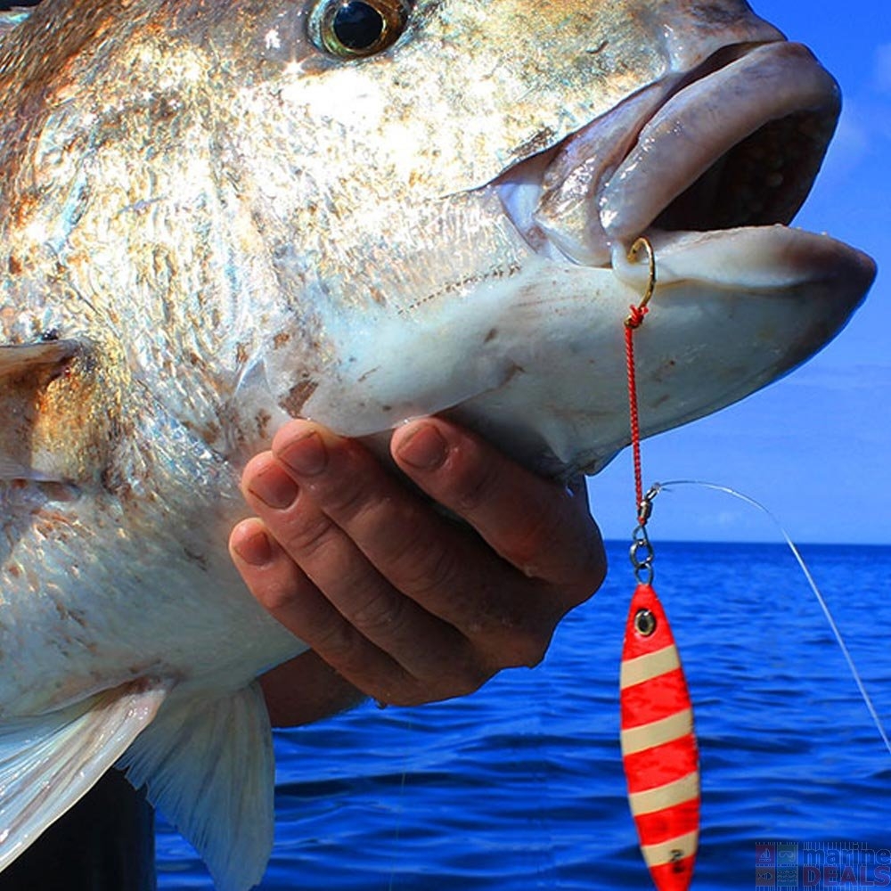 Daiwa Saltiga Slow Knuckle Jig 100g Pink/Blue