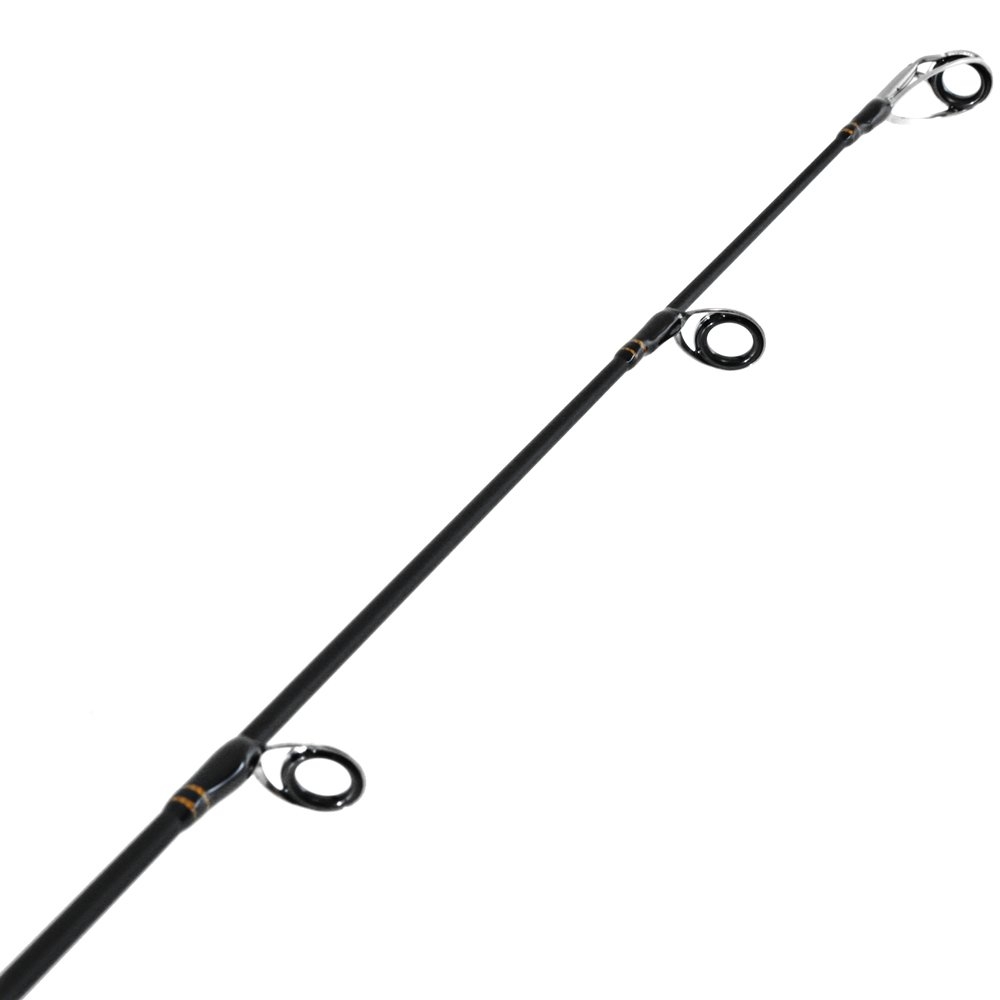 Catch SP3000 Pro Series Spinning Softbait Combo with Braid 7ft 3in 4-8kg 2pc