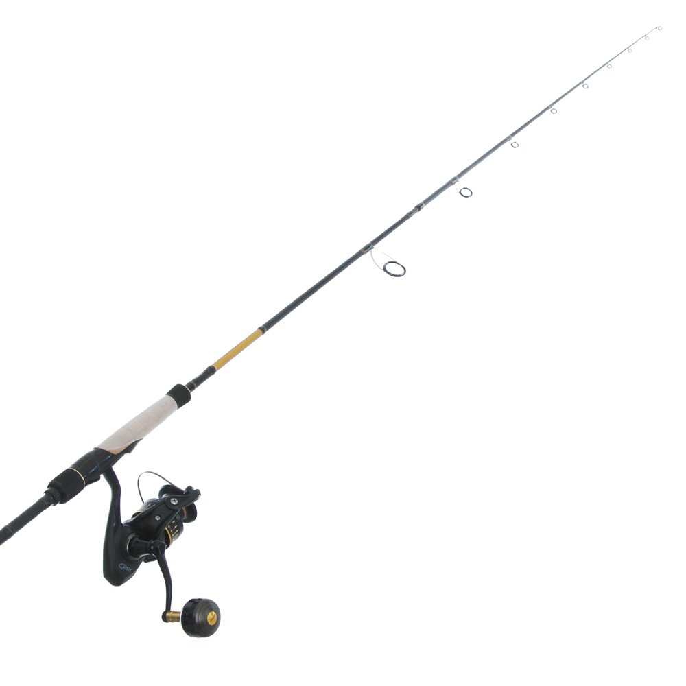 Catch SP3000 Pro Series Spinning Softbait Combo with Braid 7ft 3in 4-8kg 2pc
