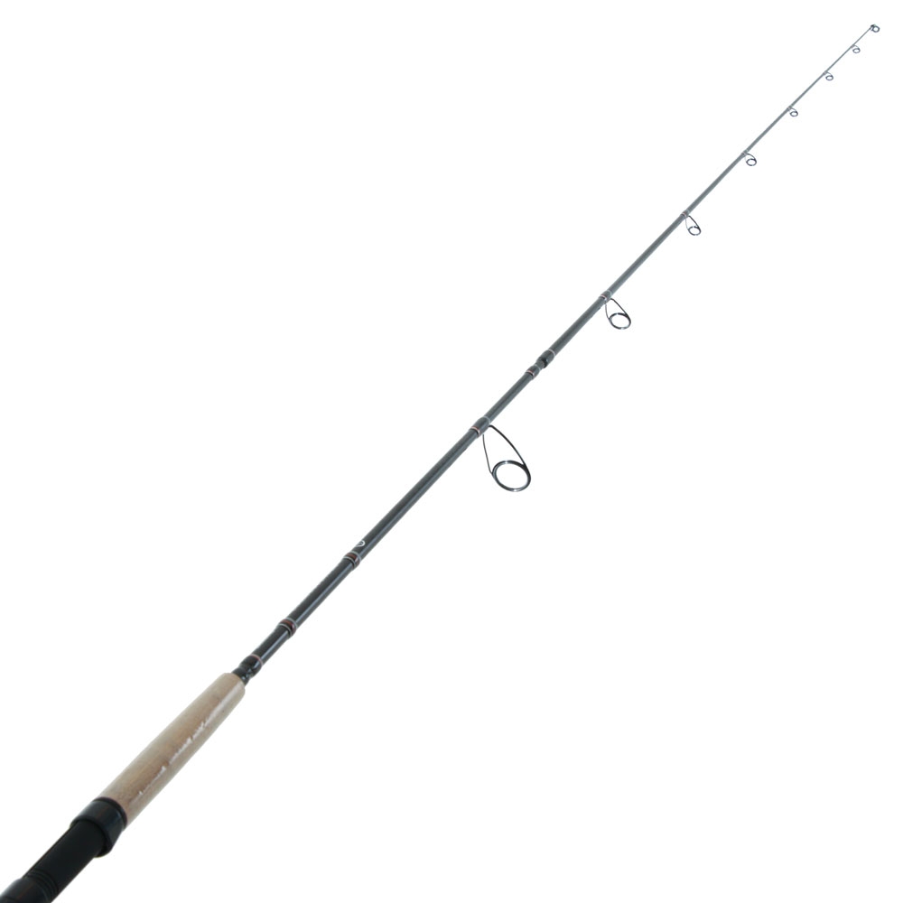 Shimano Backbone Rock Spinning Rod 8ft 6-8kg 2pc