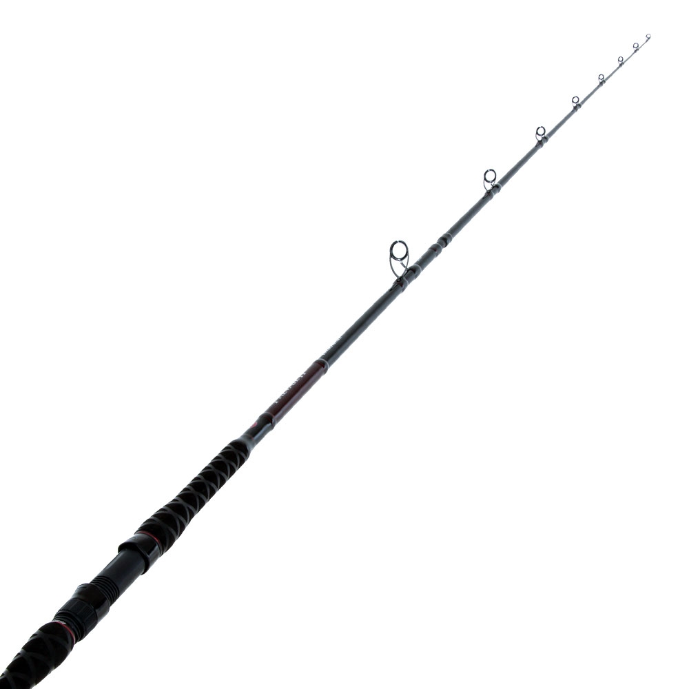 PENN Prevail II 1002OHXH Overhead Rock Rod 10ft 10-24kg 2pc
