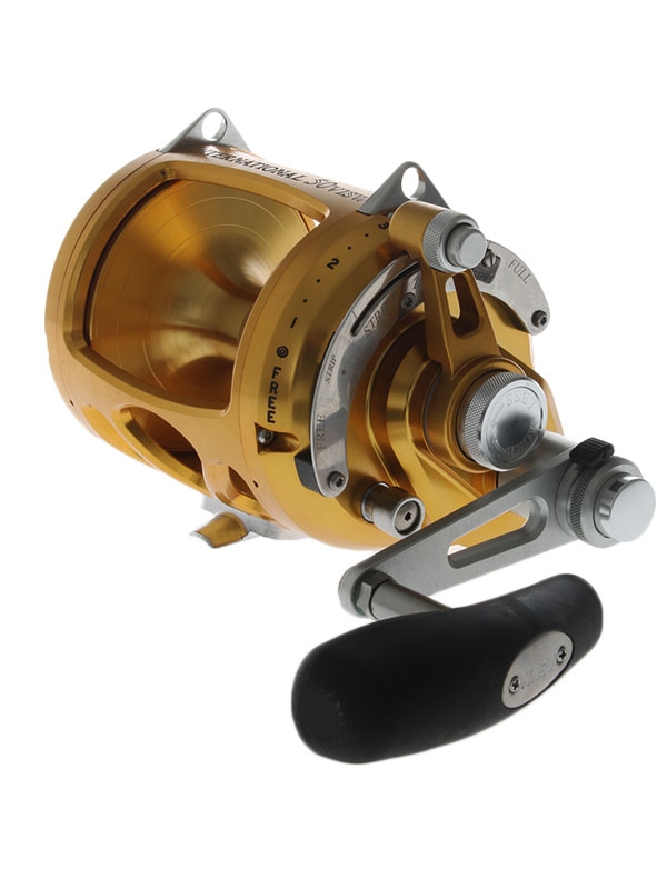 PENN International 50VISW 2-Speed Game Reel Gold