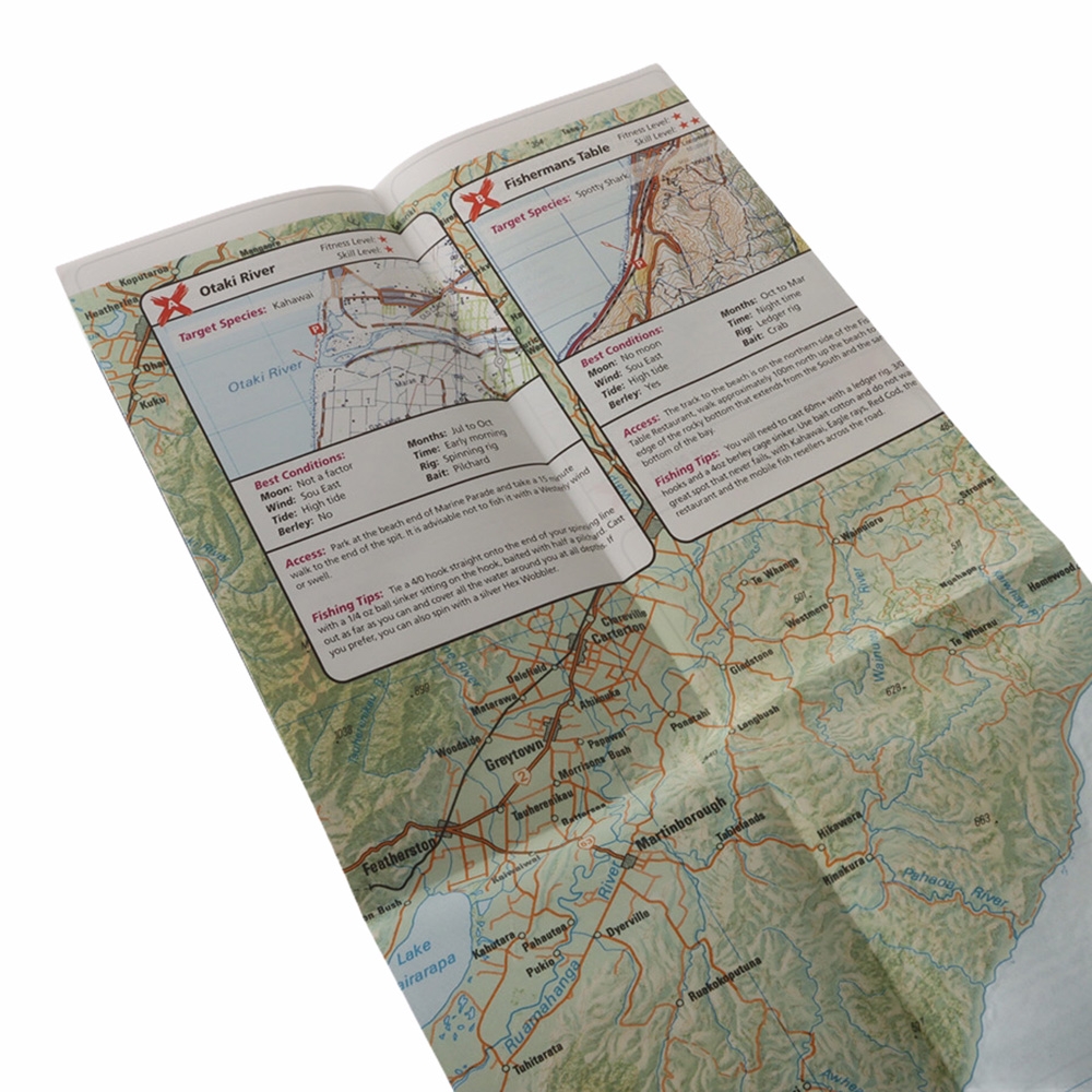 Spot X Surfcasting Map Wellington