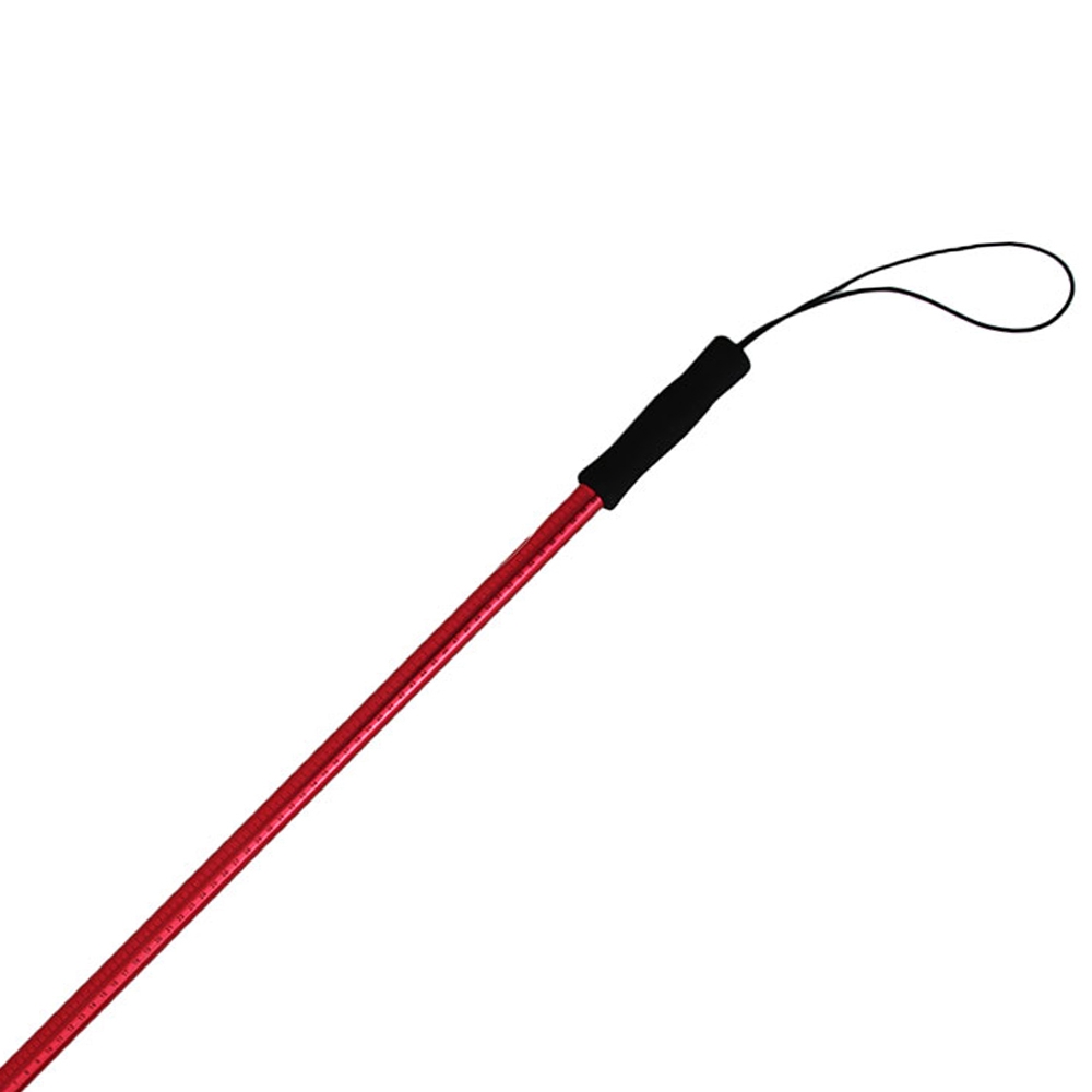 Berkley Pro Landing Net 830mm