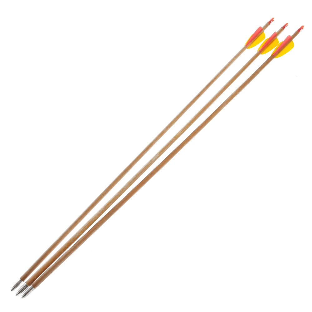 Ek Archery Youth Firestar Compound Bow Archery Set 25lbs