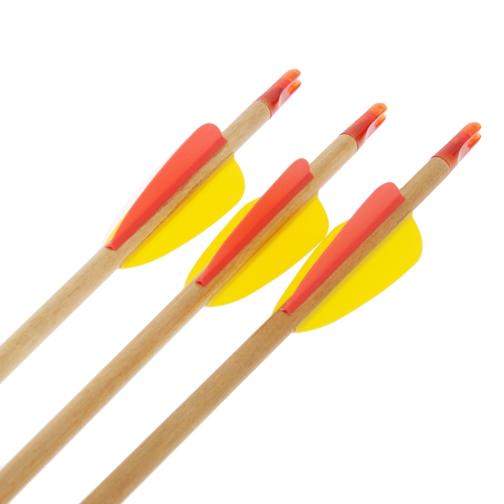 Ek Archery Youth Firestar Compound Bow Archery Set 25lbs