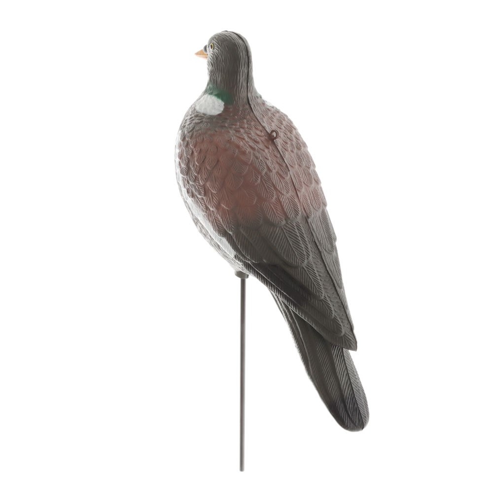 Outdoor Outfitters Full Body Pigeon Decoy 12-Pack 14in