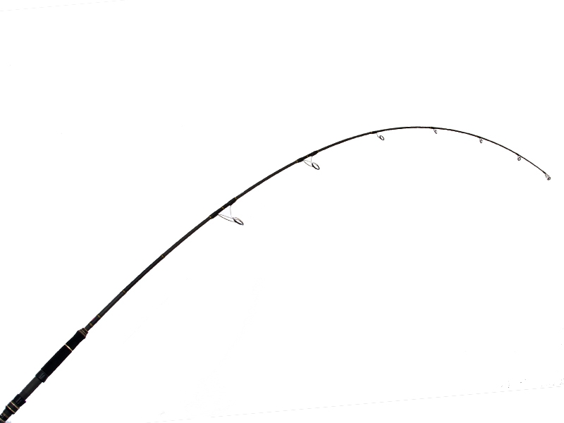 PENN Ocean Assassin 712M Spinning Soft Bait Rod 7ft 1in PE1.5-3 2pc