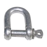 BLA D Shackle - Galvanised 22mm Qty 1 Thumbnail BLA D Shackle - Galvanised 22mm Qty 1