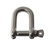 Sea Harvester Stainless Steel D Shackle 8 mm