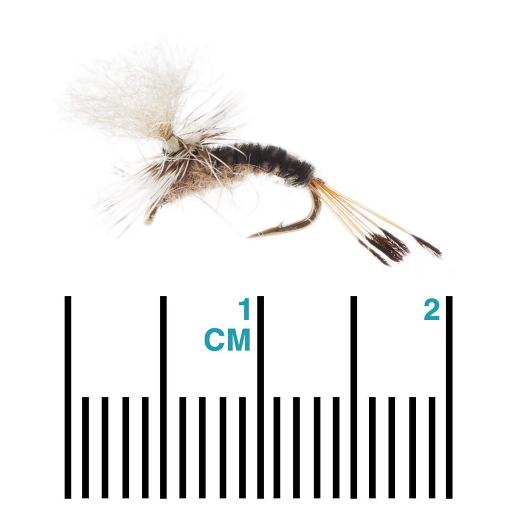 Manic Tackle Project Kyles Nesameletus Fly #16