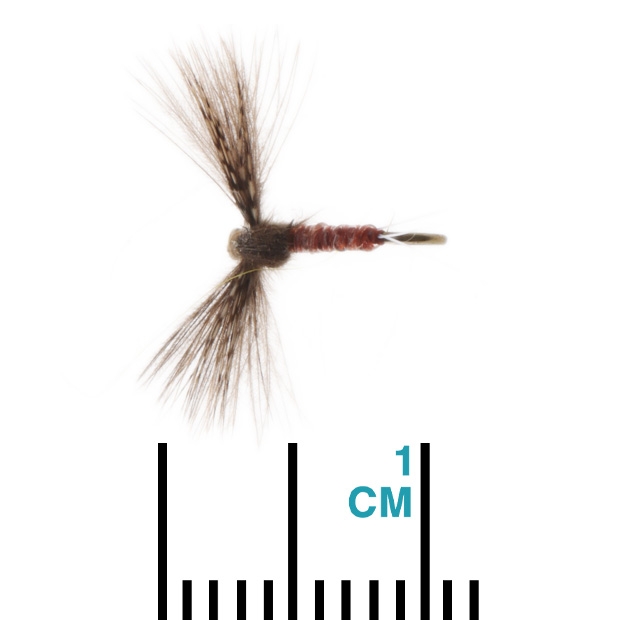 Manic Tackle Project Kyles Deleatidium #18 1cm