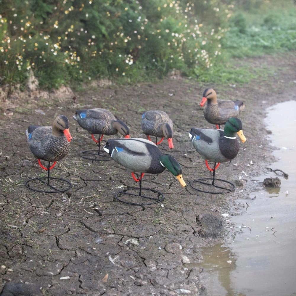 Game On Full Body Mallard Field Decoy Set 4 Hens 2 Drakes Game On Full Body Mallard Field Decoy Set 4 Hens 2 Drakes
