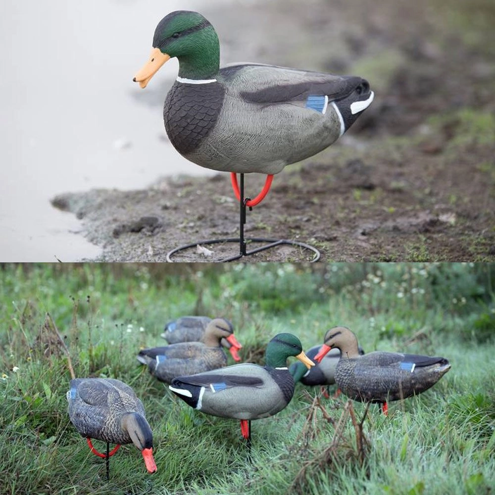 Game On Full Body Mallard Field Decoy Set 4 Hens 2 Drakes Game On Full Body Mallard Field Decoy Set 4 Hens 2 Drakes