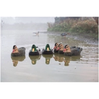 Game On Magnum Mallard Fully Flocked Decoy Set 20in Thumbnail Game On Magnum Mallard Fully Flocked Decoy Set 20in