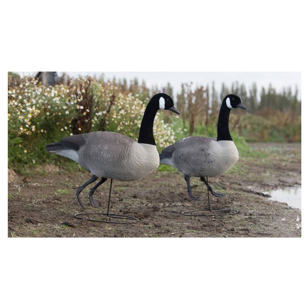 Game On Canada Goose Full Body Flocked Decoys 6 Pack