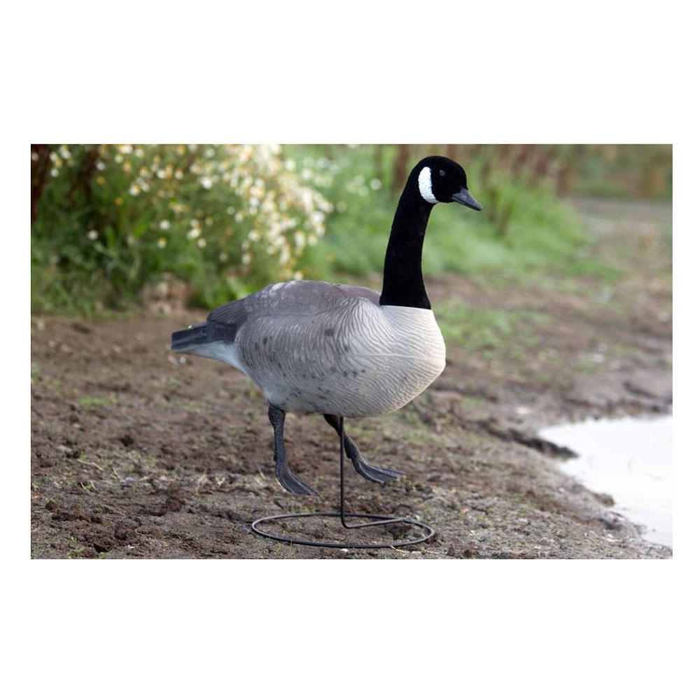 Game On Canada Goose Full Body Flocked Decoys 6 Pack