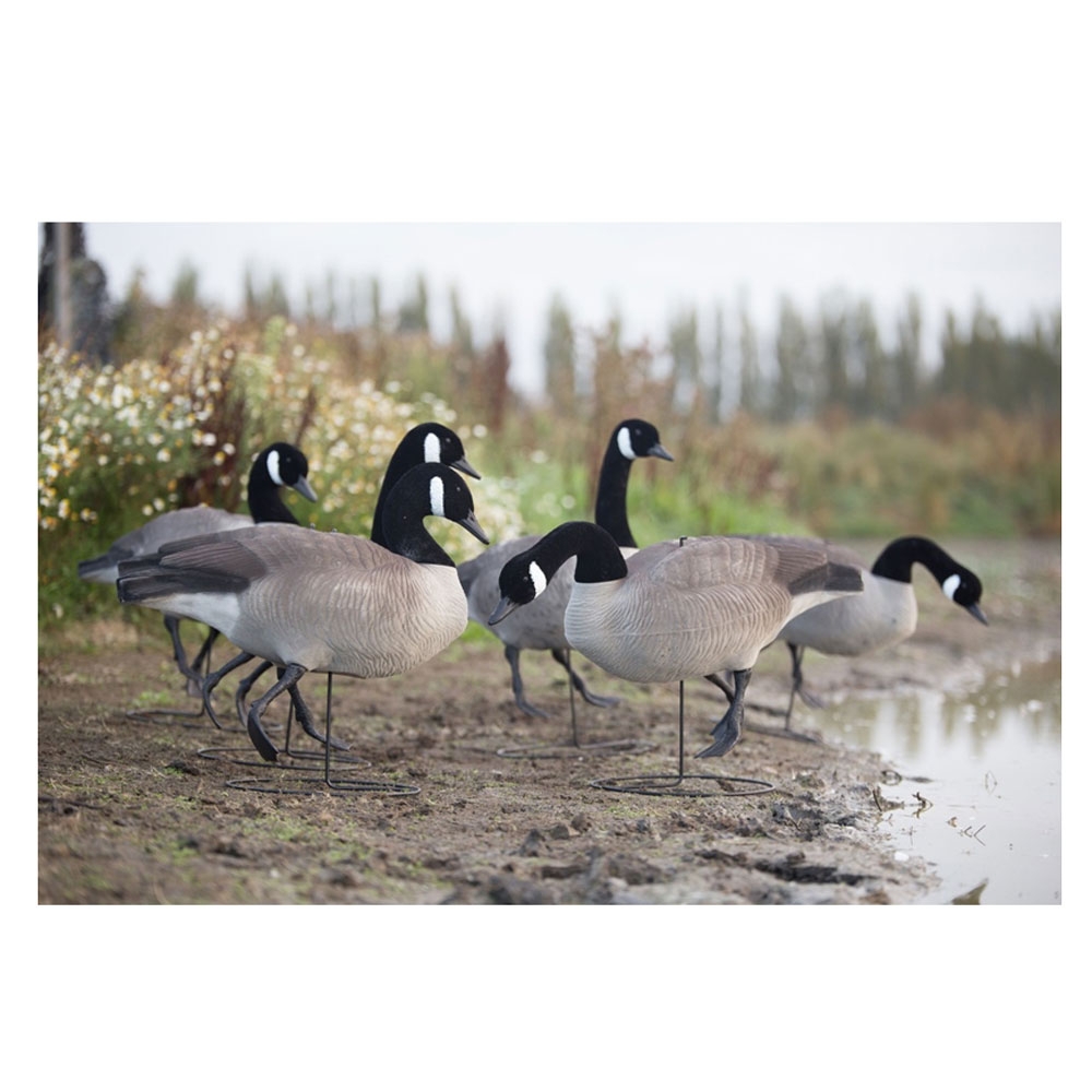 Game On Canada Goose Full Body Flocked Decoys 6 Pack
