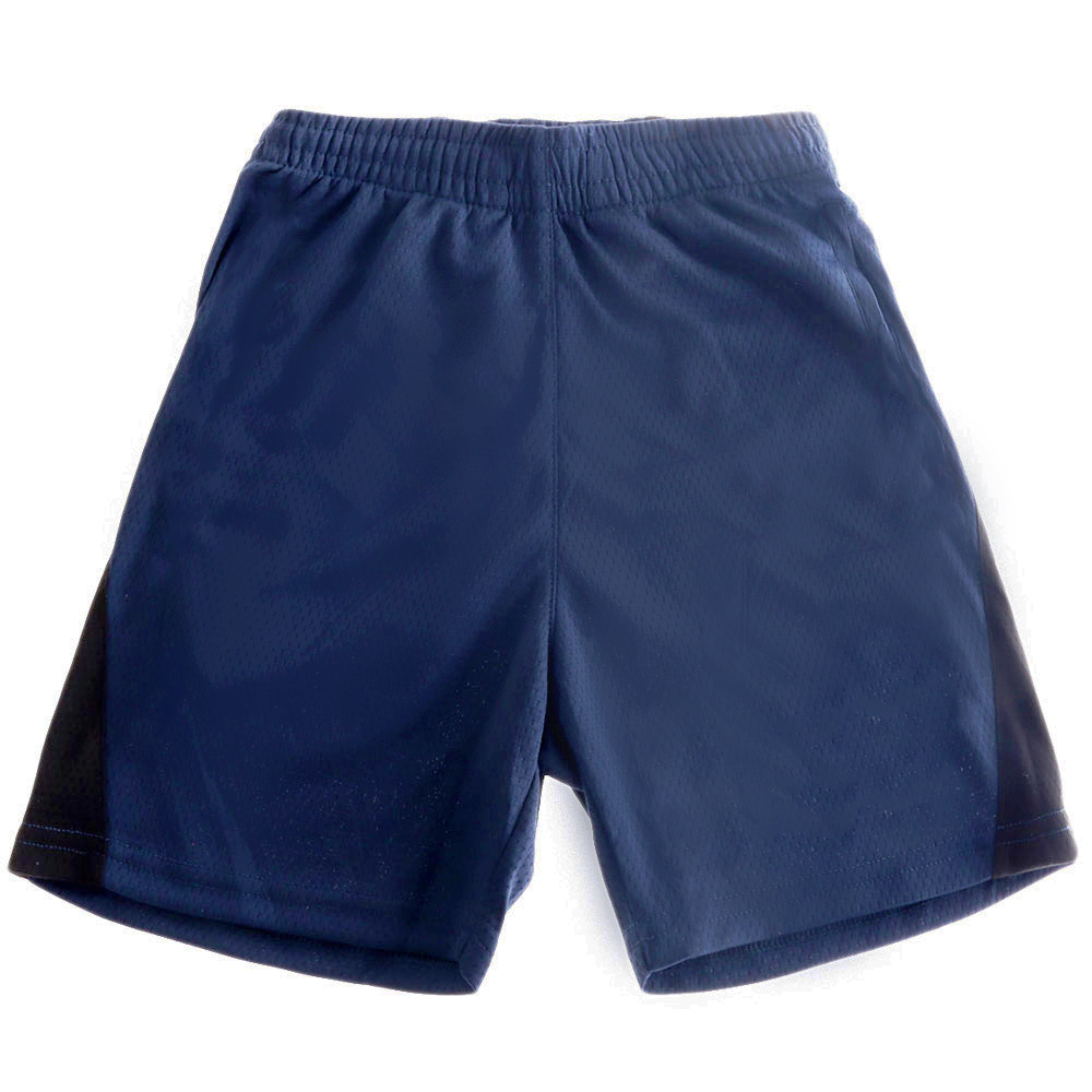 Ridgeline Breeze Kids Shorts